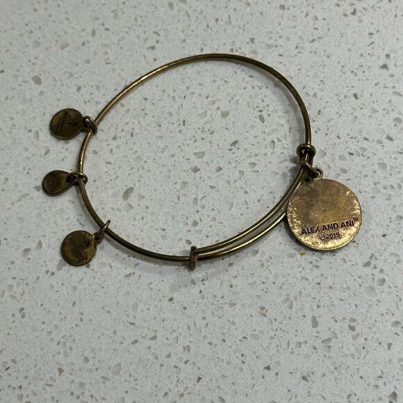 Delta Phi Epsilon Alex & Ani Bracelet - Picture 3 of 7